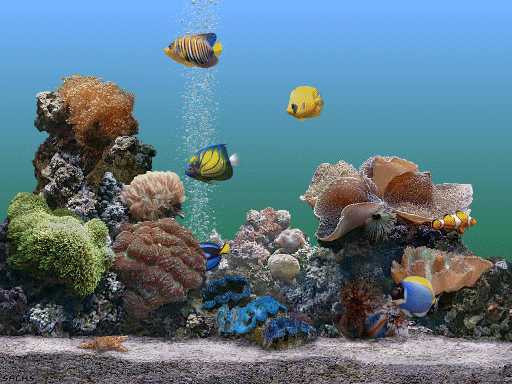 marine_aquarium